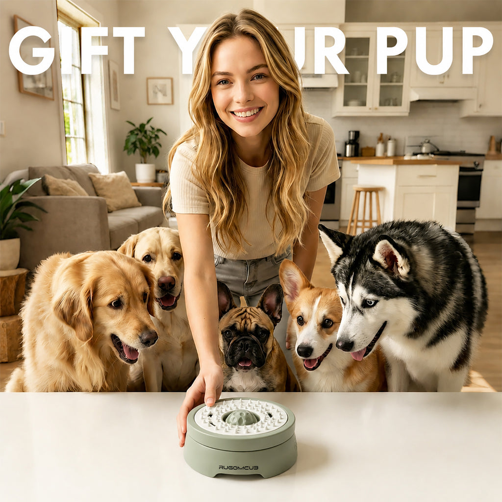 RUGOMCUB Pet Feeding Bowl for Dogs and Cats