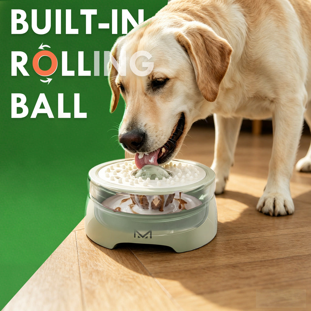 RUGOMCUB Pet Feeding Bowl for Dogs and Cats