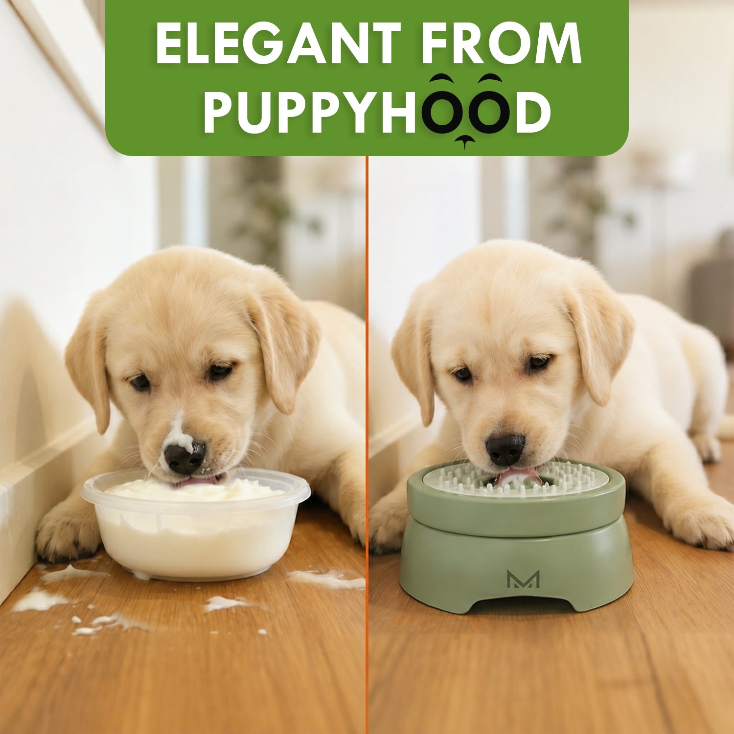 RUGOMCUB Pet Feeding Bowl for Dogs and Cats