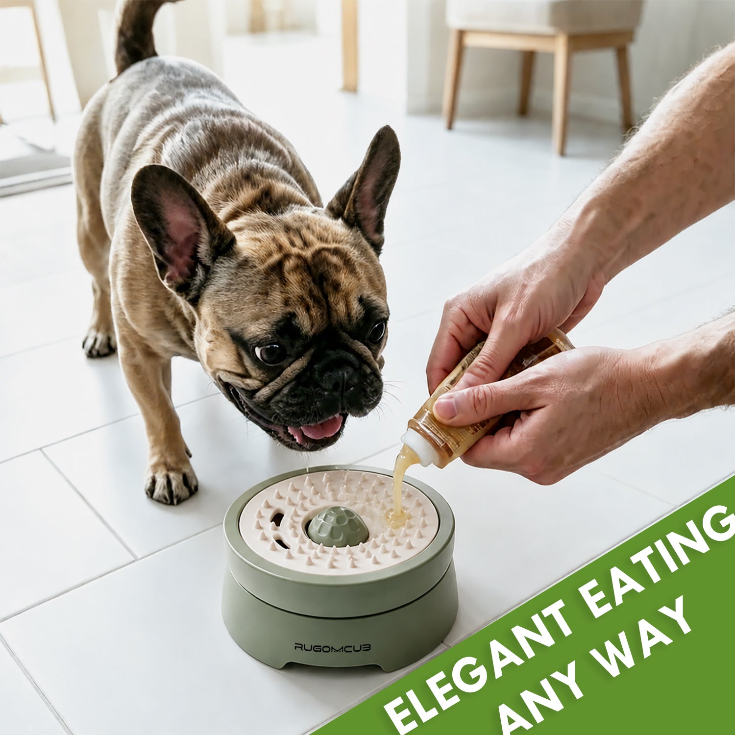 RUGOMCUB Pet Feeding Bowl for Dogs and Cats