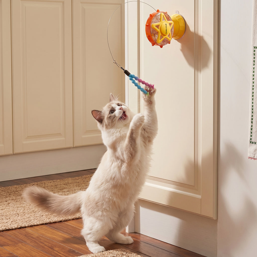 Ferris Wheel Interactive Cat Toy